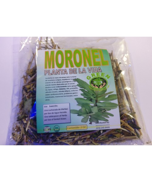 Moronel, Planta de La Vida Te Natural Potente Regenerador de Celulas