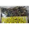 Prodigious Immortelle Herb Tea Brickelia Kalanchoe Pinnata Organic Prodigious : Prodigiosa Siempreviva Hierba Te Brickelia Kalanchoe Pinnata Organica