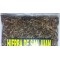 Hierba de San Juan Pericon, Hipérico, Hierba Amarilla :  St. John's Tea Hypericum perforatum