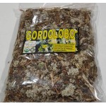 Flor de Gordolobo, Mullein Flor, Gordolobo, manzanilla del campo, manzanilla del río, tzompotonic, lobito, papaconi, tlacochichic, tzompotonic : Mullein Flower, Verbascum thapsus, cudweed, cotton grass, Copy