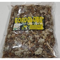 Flor de Gordolobo
