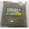 La Salvia, Te de Salvia, Salvia Comun :   Sage Herbs Tea, salvia officinalis, Common sage